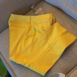 Jones NewYork Sport Crop Pants